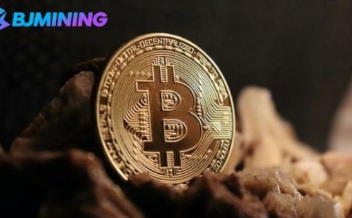 Зарабатывайте $6750 в день, запустив майнер Bitcoin (BTC)