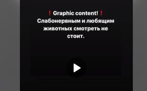 Великая Дымерка. Новое видео