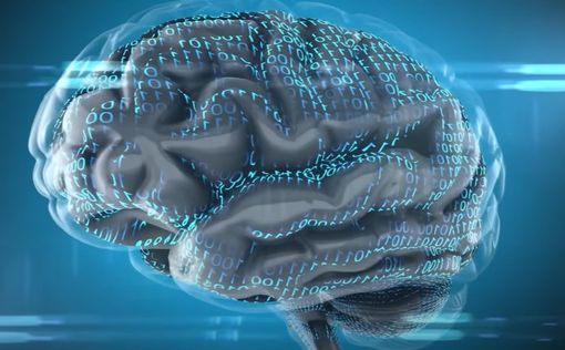 Neuralink Илона Маска ищет партнера для проведения испытаний на людях