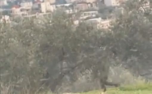 Дир Дибван заблокирована поселенцами