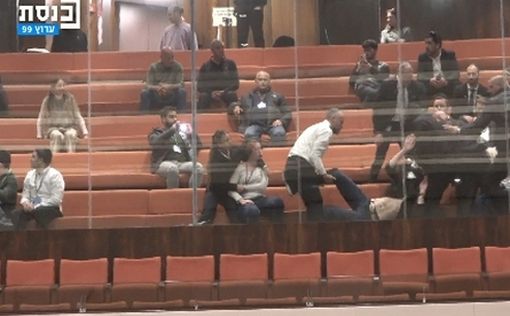 Безжалостно избили. Демонстрант о произошедшем в зале заседаний Кнессета