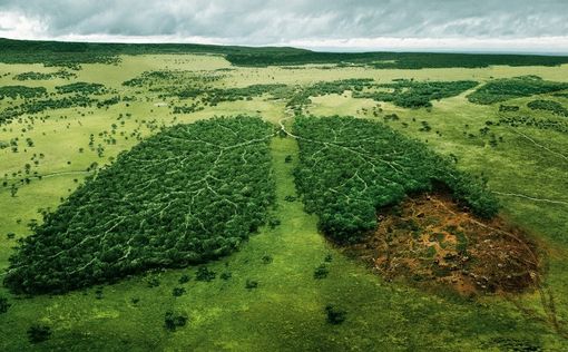 Фильмы, которые напоминают, что планета может «устать»