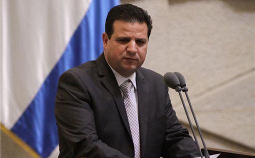 Айман Удэ: Мы против и коалиции, и оппозиции | Фото: Кредит knesset.gov.il
