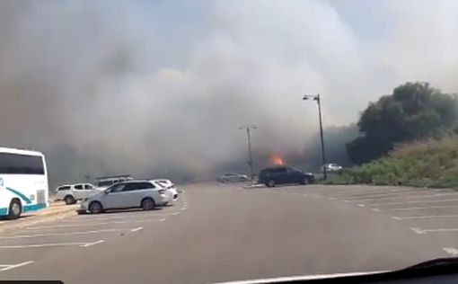 Пожар на озере Кинерет взят под контроль