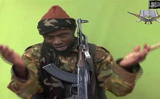 Десятки новых жертв группировки "Боко Харам"