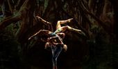 Знаменитый Театр Momix представит в Израиле волшебный балет ALICE | Фото 3