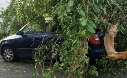 Трое раненых в результате шторма на севере Израиля