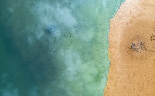 Жителей Ашкелона, распотрошивших контейнеры, накажет Управление природы и парков