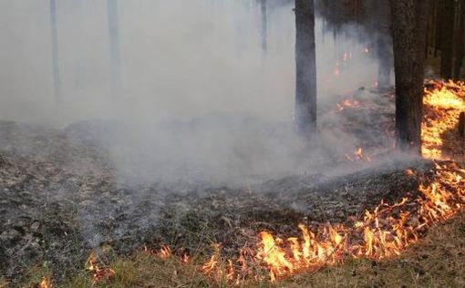 В Германии эвакуируют местных жителей