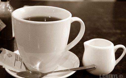 Ученые: Чай с молоком вредит здоровью
