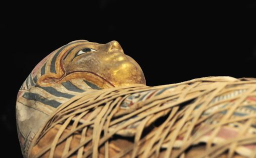 Археологи нашли древние египетские мумии с золотыми языками