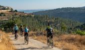 От Средиземного до Мертвого моря: уникальный велосипедный маршрут в Израиле | Фото 7