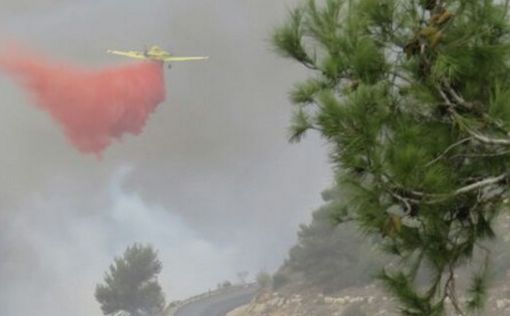 Израиль попросит у Греции и Хорватии пожарные самолеты