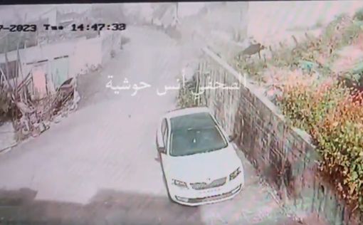 Ликвидация одного из террористов попала на видео
