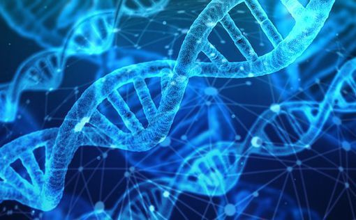 Результаты генетического теста -- биологические родители эмбриона неизвестны