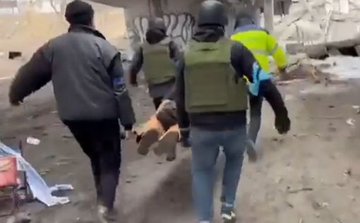 Видео: Украинцы эвакуируют Брента Рено