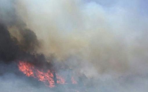 Пожар: шоссе №1 закрыто, движение поездов прекращено