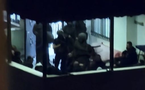 Видео: израильские силы в доме террориста