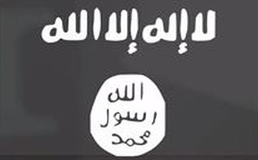 ISIS подтвердили гибель японского заложника