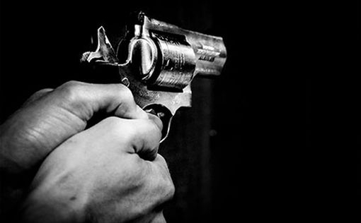 7 человек ранены в результате стрельбы в парке в Чикаго