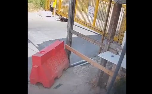 Террорист проник в еврейское поселение и был убит