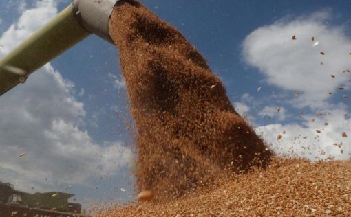 В Женеве начались переговоры по зерновой сделке между ООН и Россией