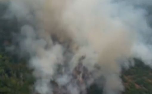 Тысячи военных готовы начать борьбу с пожарами в Амазонке