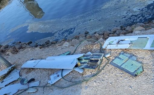 В районе границы с Иорданией сбит беспилотник-камикадзе