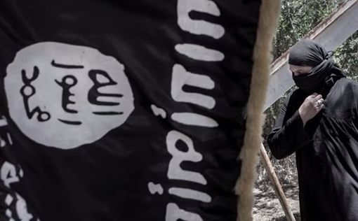 У ISIS есть верные друзья