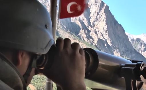 Десятки турецких солдат попросили убежища в Германии