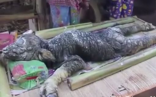 В Таиланде поймали неизвестного науке "крокобуйвола"