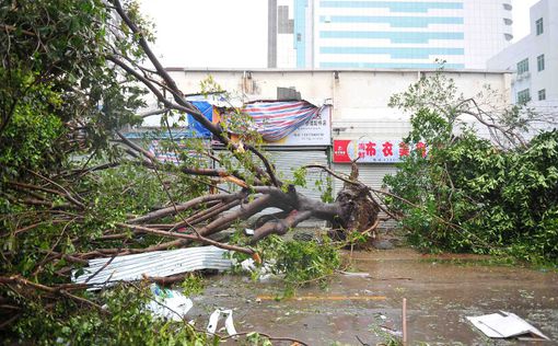 Вьетнам: тайфун уносит человеческие жизни
