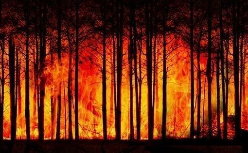 Лесной пожар угрожает домам в районе Назарета на севере Израиля