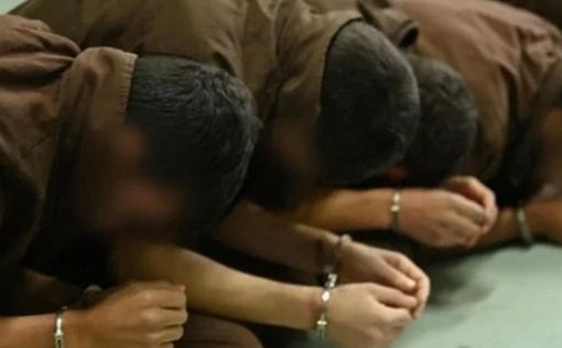 Вопреки обещаниям: террористы из сил "Нухба" встретились с адвокатом