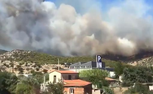 В Греции вновь вспыхнул пожар: объявлено об эвакуации