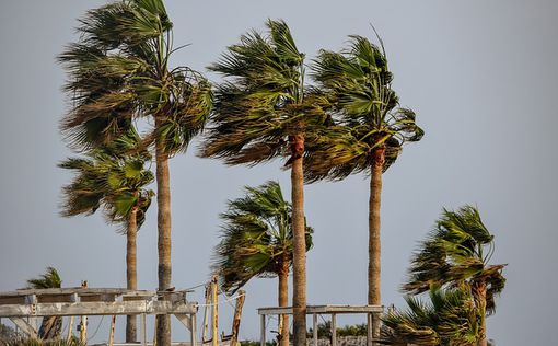 Жертвами бури в США стали 5 человек