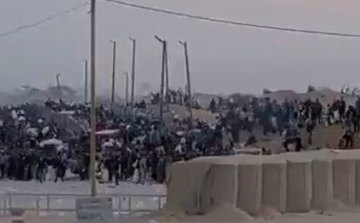 Стрельбы нет. GHF распространил видео раздачи помощи и опроверг ложь ХАМАС