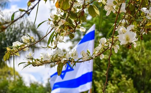 Последователи Бен-Гвира напали на съемочную группу 13 канала