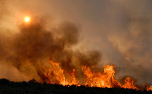 Сильнейшие лесные пожары в Австралии не могут потушить