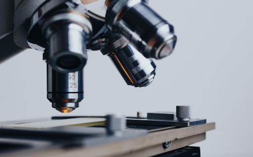 На китайской орбитальной станции обнаружена ранее неизвестная бактерия