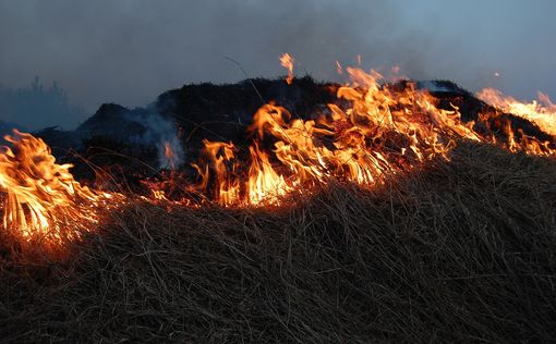 Из-за пожара в Бен-Гурионе приостановлено движение