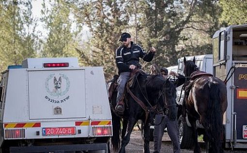 Шабак: убийство Ансбахер - террористическая атака