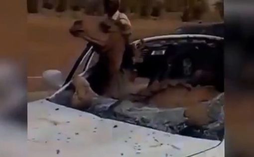 ДТП в Саудовской Аравии. Автомобиль влетел в верблюда