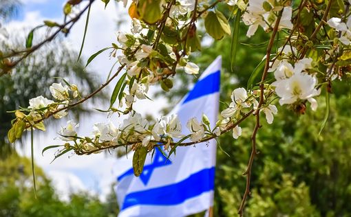 Министры кабинета выступают против саммита в Иордании
