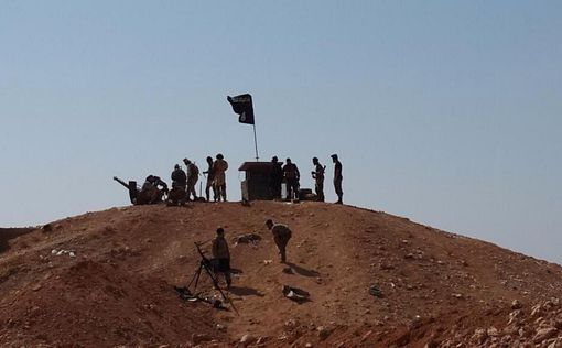 Франция и США не присоединятся к битве Асада против ISIS